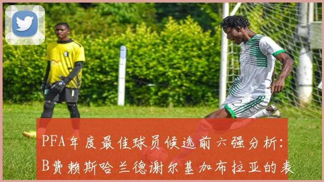 PFA年度最佳球员候选前六强分析：B费赖斯哈兰德谢尔基加布拉亚的表现对比